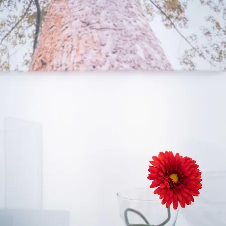 Alojamento de Acomodação e Pequeno-almoço Ada & Lecce